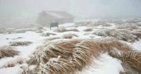 Treating hypothermia