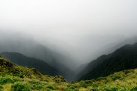 Day 7: a zero day – shall we go on? yeah nah