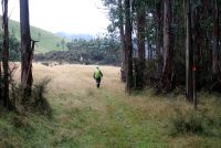 Day 32: the quest for civilisation