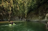 Raukumara Wilderness Area