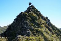 Understanding Heuristic Traps?