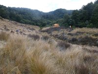Kaimanawa Ranges Access