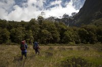 Tragedy on Mt Revelation