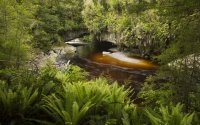 Our Wild Spaces Under Threat