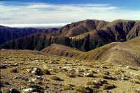 Kaimanawa – Heart of the North Island