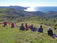 Three days in the Coromandel
