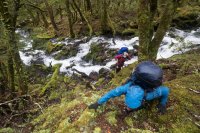 Tasman Wilderness Area