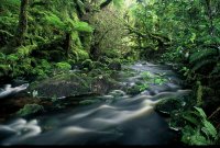 Sanctuary areas and Ecological areas