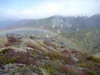Conservation Parks and Forest Parks