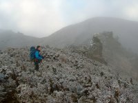 Scenic Reserves