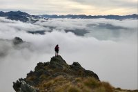 Para-waiting: It’s not a sport…
