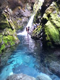 The history and mystery of Holts Creek