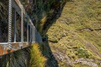 Ladder in the Wilderness