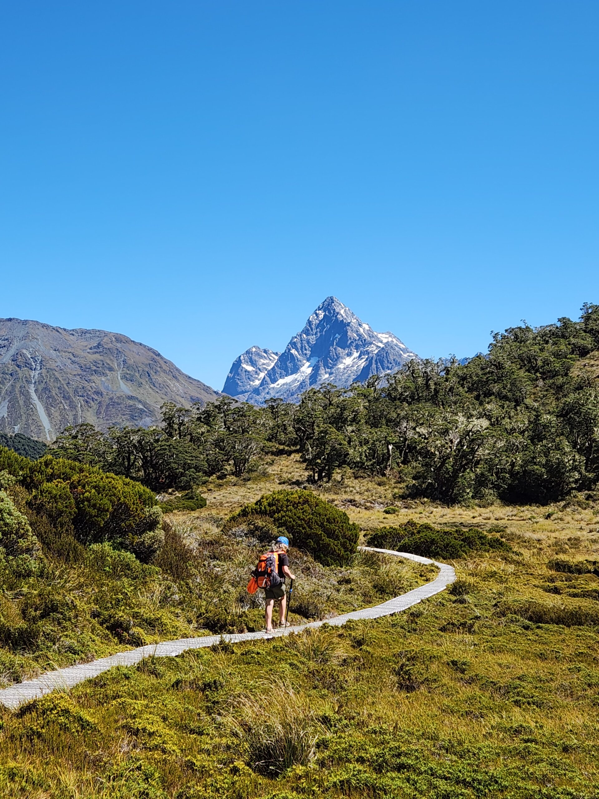202502 The stunning boardwalk across McKellar Saddle – credit Erin Willson