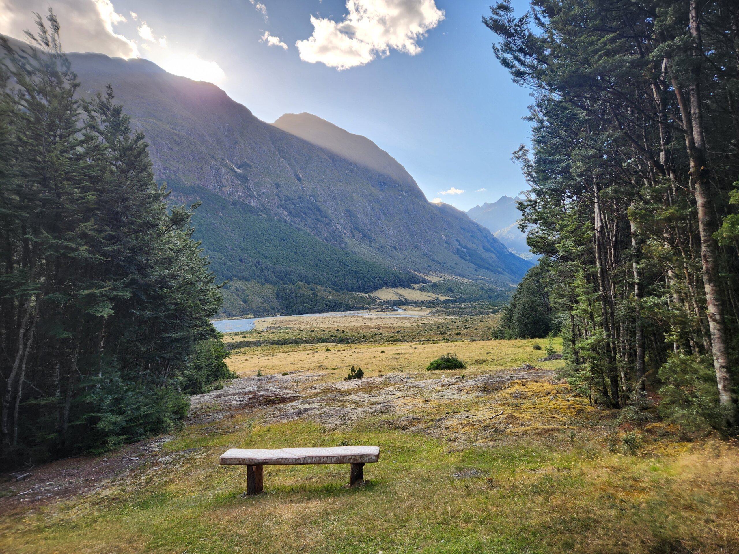 202502 View from NZDA Mid-Greenstone Hut – credit Erin Willson